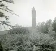 Irländska rundtornet i Glendalough, Irland 1948 (enligt text i album).