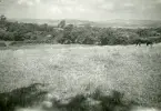 Glendalough dal på Irland 1948 (enligt text i album).