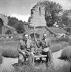Alf vid Alvastra klosterruin