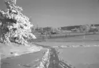Snölandskap