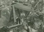 Militärt flygplan S 14 Storch nr 3811 efter haveri i skog utanför Finspång den 28 juni 1948.