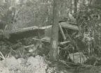 Militärt flygplan S 14 Storch nr 3811 efter haveri i skog utanför Finspång den 28 juni 1948.