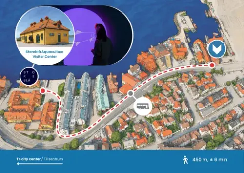 Vi ser en grafisk tegning som forklarer hvordan en skal gå mellom fiskerimuseet og visningssenteret Storeblå