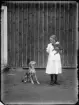 Fotografi i serie för identifiering av motiv ur A C Hultgrens fotosamling.