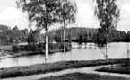 Vy över en sjö.