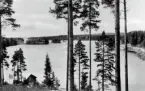 Vy över en sjö.