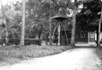 Signaltriangel.