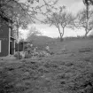 Utsända från Östergötlands museum på rundresa i Svinhult våren 1938. Mitt i beredningen av sättpotatis utfrågas familjen Johansson (troligtvis) i Österås.