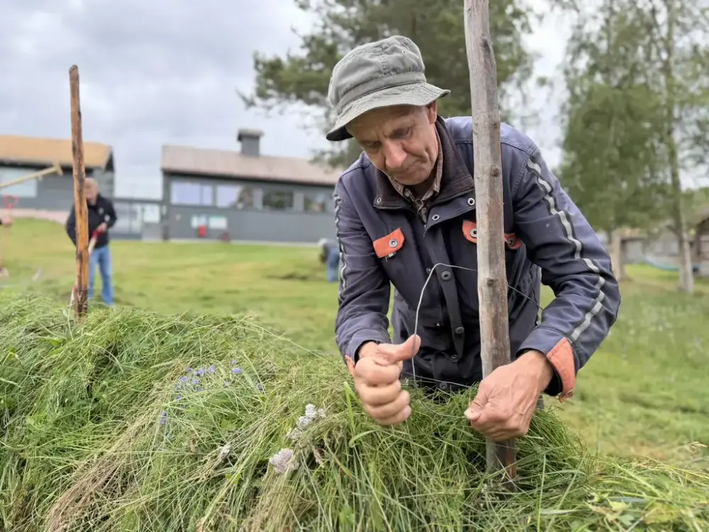 Slåttedag på Lesja bygdemuseum. Slåttebas: Narve Tveiten.