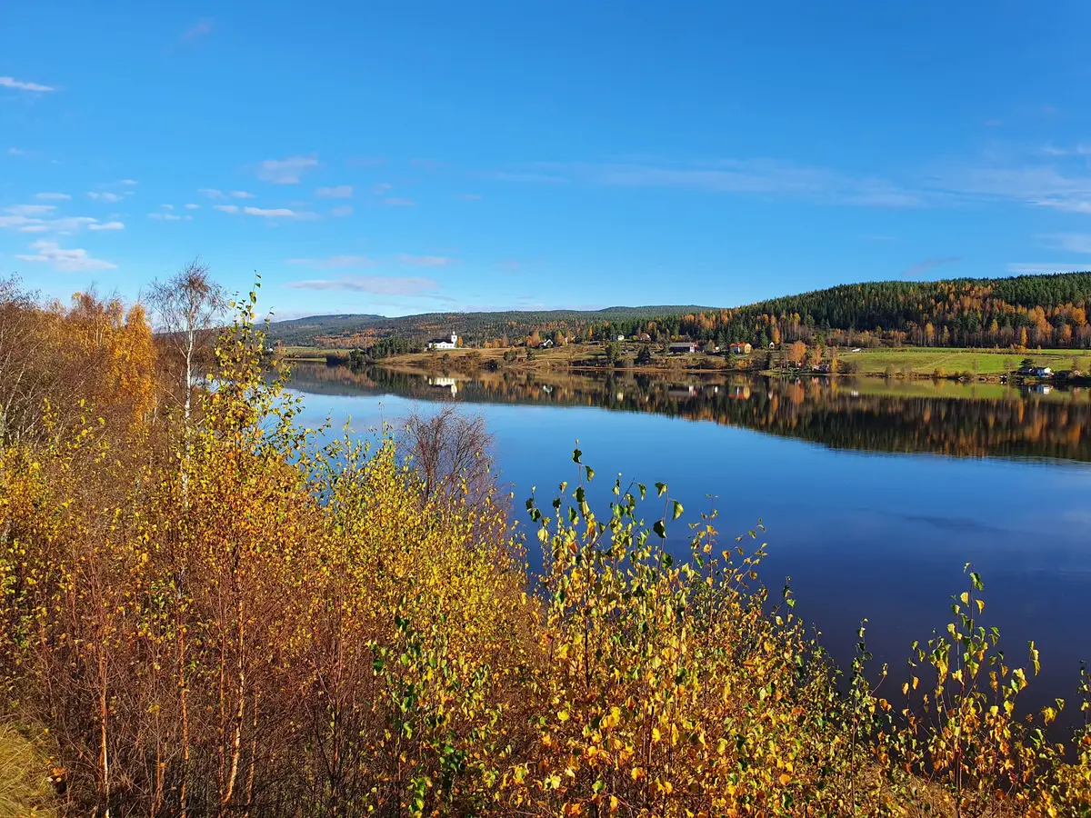 Björkar, Ångermanälven och landskap med kyrka i bakgrunden. Höstfärger.