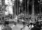 Underhållning med idrottsliga förtecken. Balansgång.