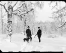 Fotografi i serie för identifiering av motiv ur A C Hultgrens fotosamling.