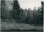 Dalskog, Hammel