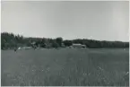 Dalskog. Myrevarv