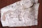 Fragment av väggmålning.