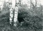 Dalskog. Kabbomossen  torp under Kabbo, källare