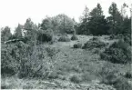Kattorpet, soldatstom under Bodane