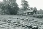Spettviken, torp under Åsmule