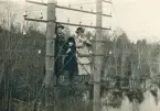 Två kvinnor och en flicka står uppflugna i en elstolpe i skogen, trol. utanför Alvesta. Till vänster trol. Ruth Svensson.
Jfr Alb27-225.