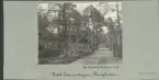 Skansen. Byggnader. Finngården. Pörtet Dammstugan.