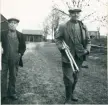 Ör, Åsmule. Bröderna Gustav och Fredrik Grund på väg till trösket