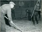 Ör. Åsmule. Tröska fyra
