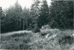 Vännalången, torp under Östra Blekan, Sundals Ryr