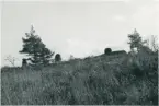 Högsäter, Slättfjället