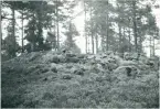 Järbo. 