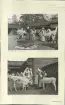 Skansen. Byggnader. Fäbodvallen. 
 Invigning av fäbodvallen, Bondens dag 1938.