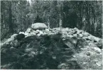 Järbo