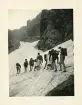 Den första snön vid alpvandringen i de bayerska alperna i Tyskland (enligt text i album).