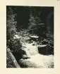 Alpbäck i de bayerska alperna i Tyskland (enligt text i album).