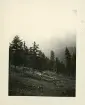 Dimmorna svepte över bergen och skymde utsikten i de bayerska alperna i Tyskland (enligt text i album).