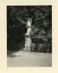 Änglastaty med lummig grönska runt om, på ön Mainau, Tyskland (enligt text i album).