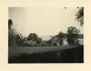 Utsikt från Mainau mot Bodensjön, Tyskland (enligt text i album).