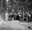 Disk i fält.