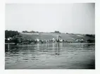 Stränderna äro uppfyllda av vinodlingar, Meersburg, Tyskland (enligt text i album).