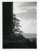 Utsikt från ruinen vid Bodman, Tyskland (enligt text i album).
