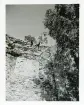 Bengt Hultin på ruinens mur (enligt text i album).