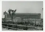 Zeppelinhalle (zeppelinhangaren) vid Bodensjön, Tyskland (enligt text i album och baksida kort).