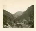 Schwarzwald. En dal sedd fr. klipplandskapet (text baksida kort). Landskapet erbjöd ödsliga men storslagna vyer (enligt text i album).