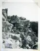 Fågelhyllor på Stora Karlsö, Gotland (enligt text i album).