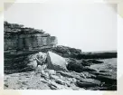 Östra sidan av Stora Karlsö, Gotland (enligt text i album).