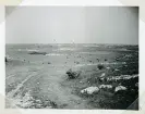 Det inre av Stora Karlsö, Gotland (enligt text i album).