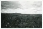 Utsikt över myren Kölen, Härjedalen, 1941 (enligt text i album).