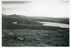 Härjedalsfjäll. Ovanför morvallens fäbodar, juni 1942 (enligt text i album och baksida kort).