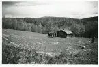 Utsikt från Morvallens fäbodar, juni 1942, Härjedalen (enligt text i album).
