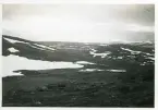 Vid fjällmassivet Skarvarnas fot, Härjedalen, 14 juni 1942 (enligt text i album).