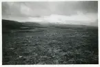 Utsikt mot Skalfjället, september 1941 (enligt text baksida kort).